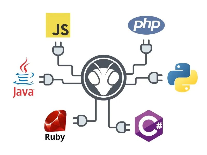 API_image3